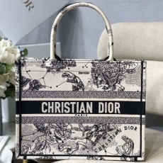 Christian Dior Shopping Bags